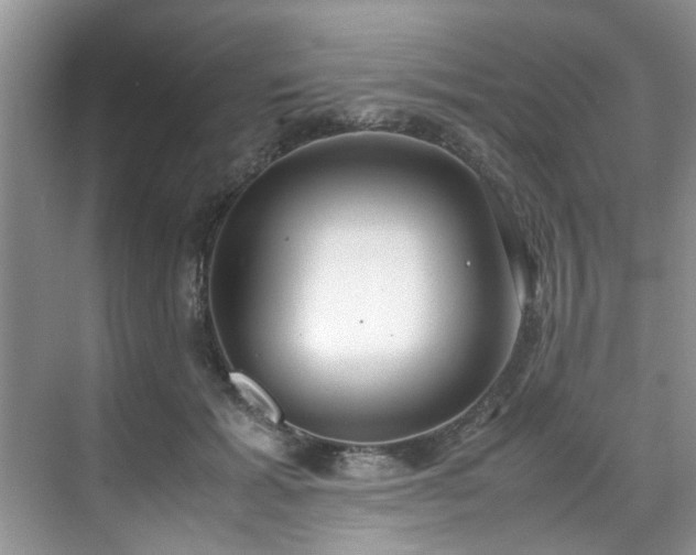 X0000070430605200606161506