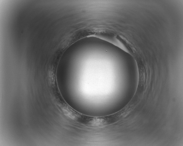 X0000070430609200606161506