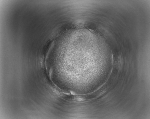 X0000070430610200606161506