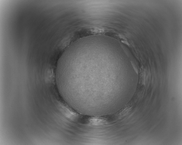 X0000070430614200606161506