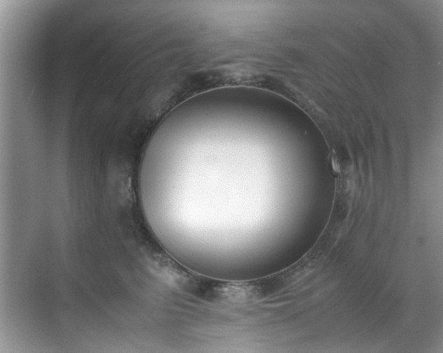 X0000070430615200606161506