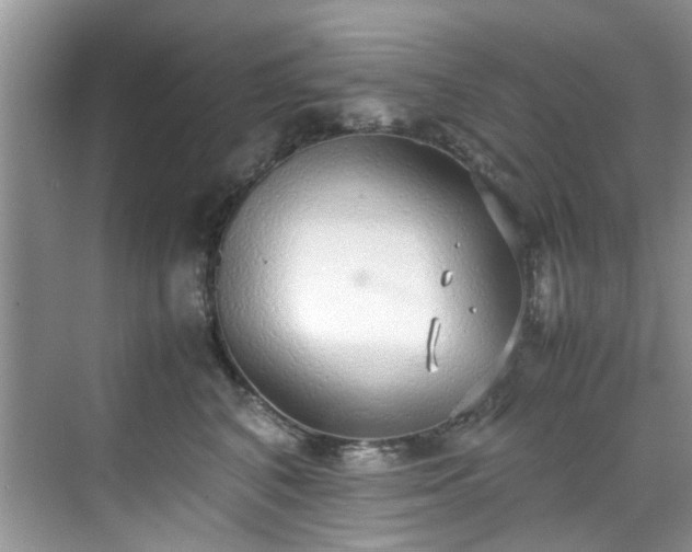 X0000070430616200606161506