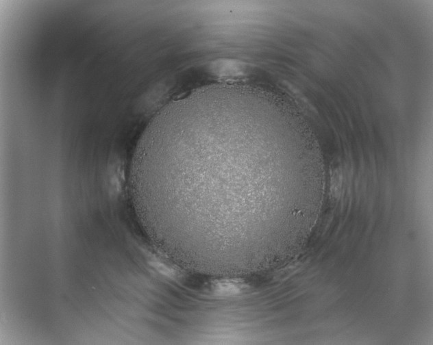 X0000070430618200606161506