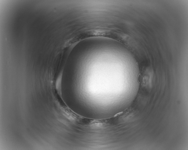 X0000070430620200606161505