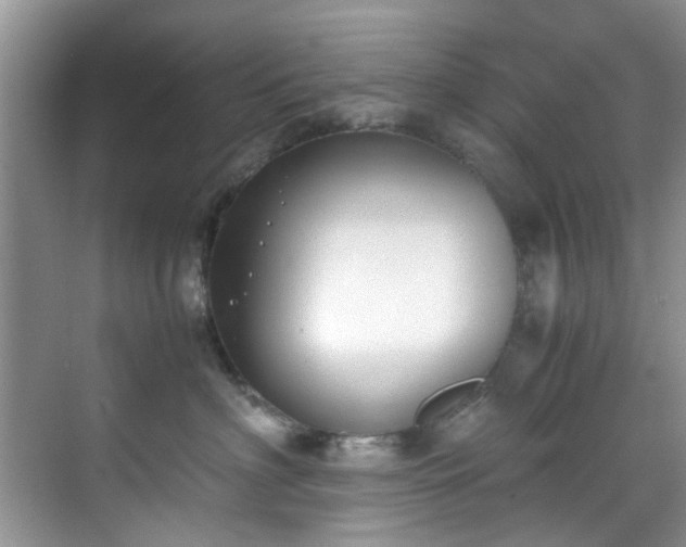 X0000070430622200606161505