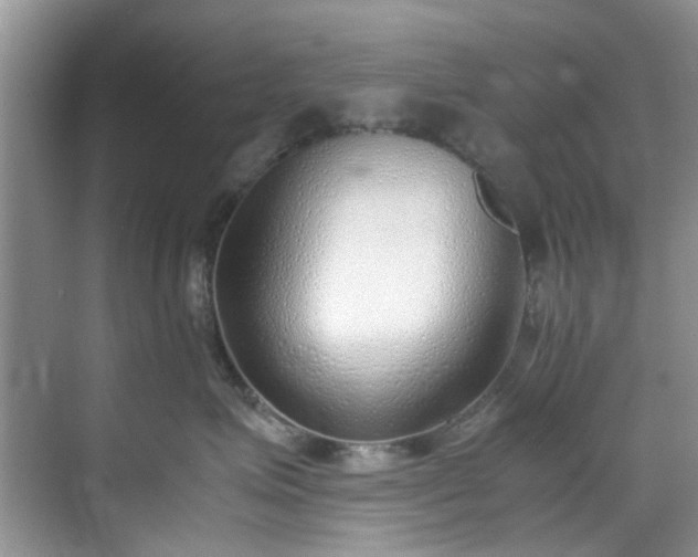 X0000070430623200606161505