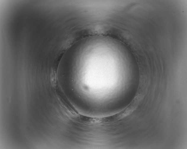 X0000070430624200606161505