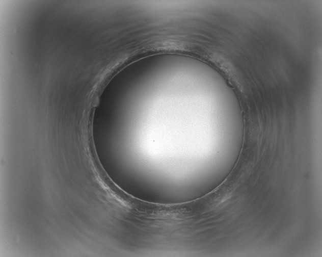 X0000070430625200606161505