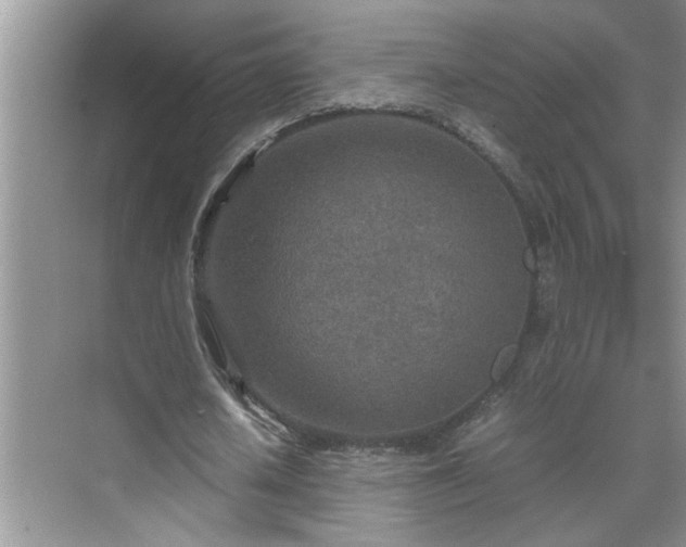 X0000070430626200606161505