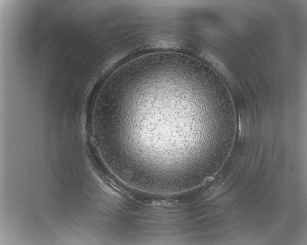 X0000070430627200606161505