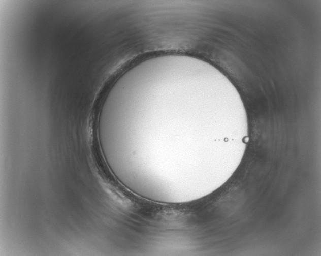 X0000070430632200606161505