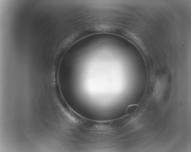 X0000070430633200606161505