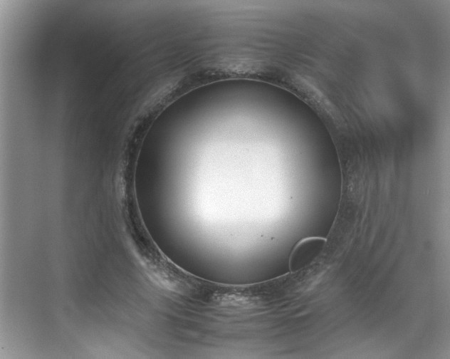 X0000070430635200606161505