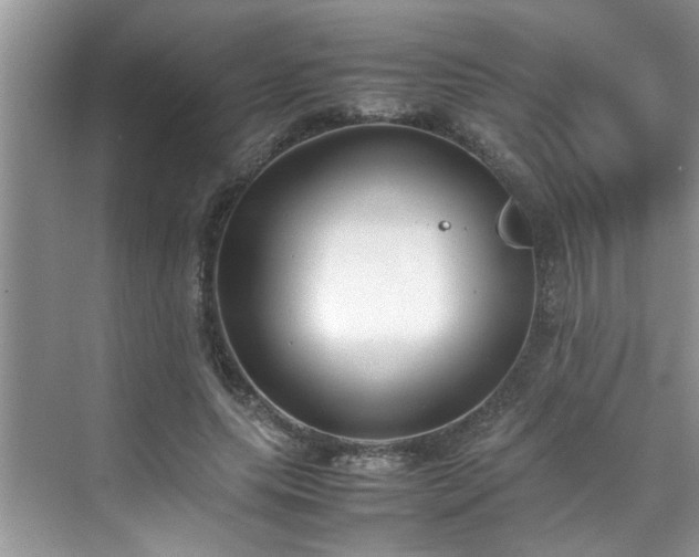 X0000070430639200606161505