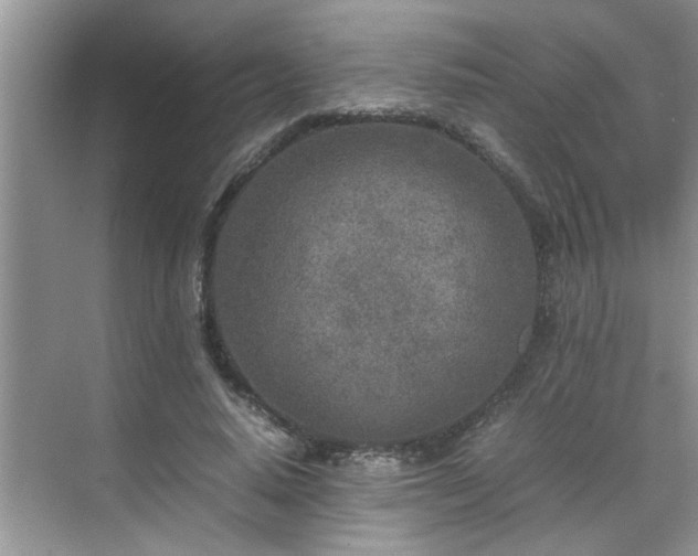 X0000070430640200606161505