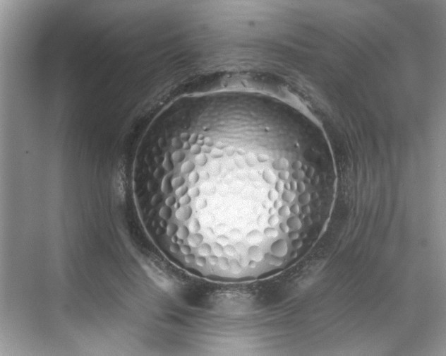 X0000070430644200606161505