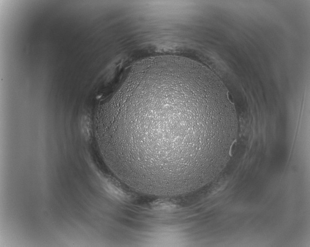 X0000070430648200606161505