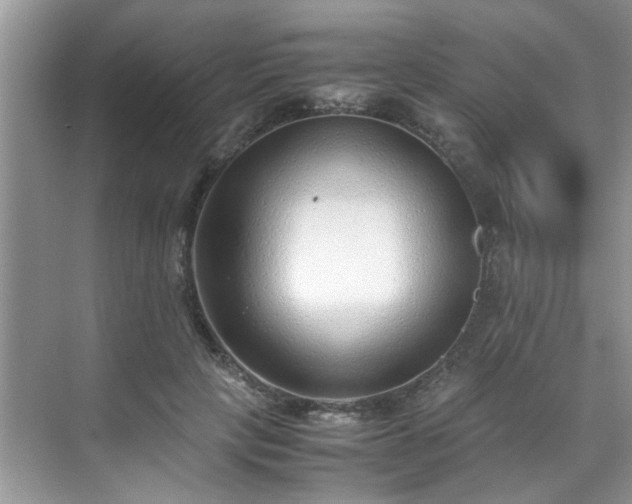 X0000070430649200606161505