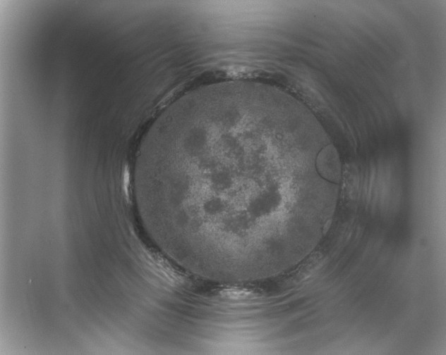 X0000070430650200606161505