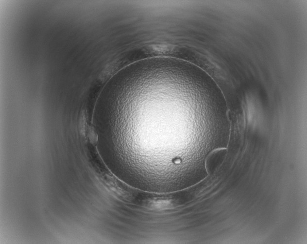 X0000070430651200606161505