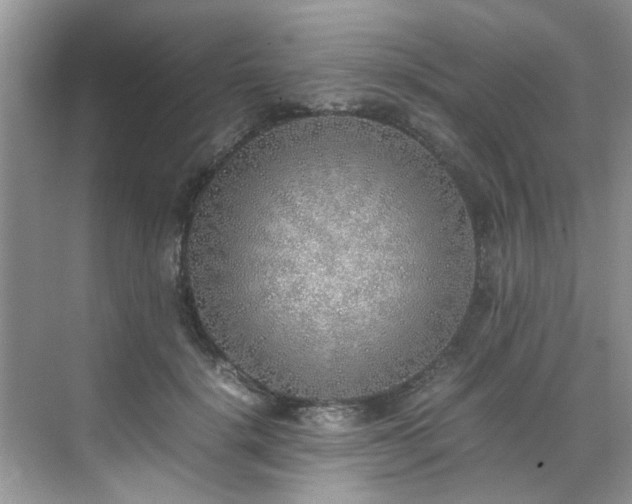 X0000070430652200606161505