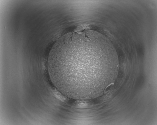 X0000070430658200606161505