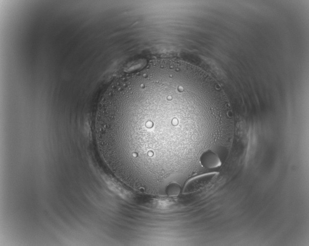 X0000070430662200606161505