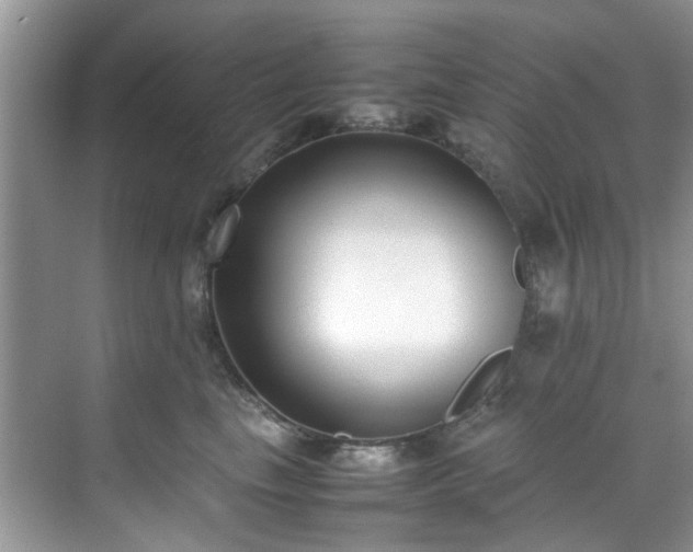 X0000070430665200606161505