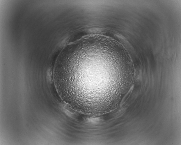 X0000070430669200606161505