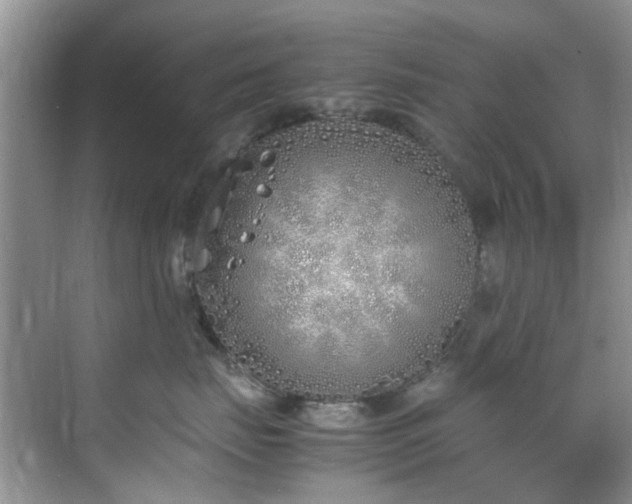 X0000070430671200606161505