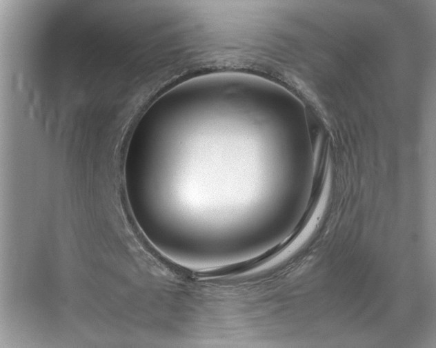 X0000070430673200606161505