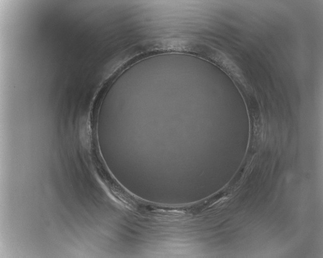 X0000070430674200606161505