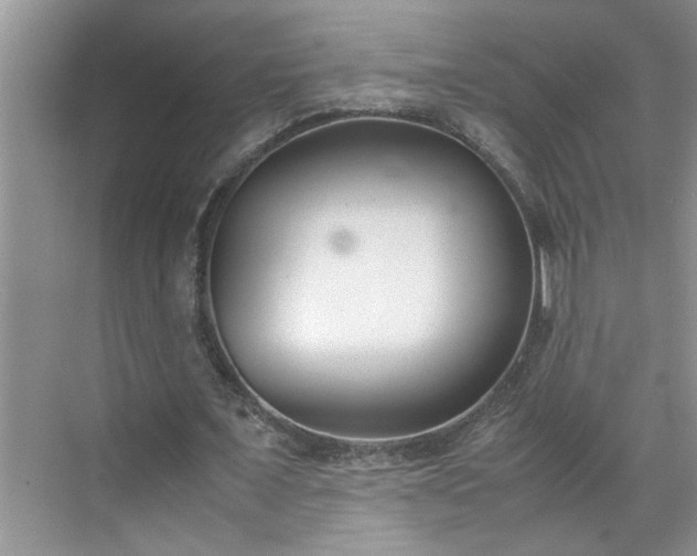 X0000070430675200606161505