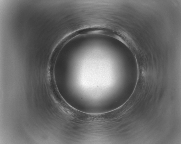 X0000070430676200606161505