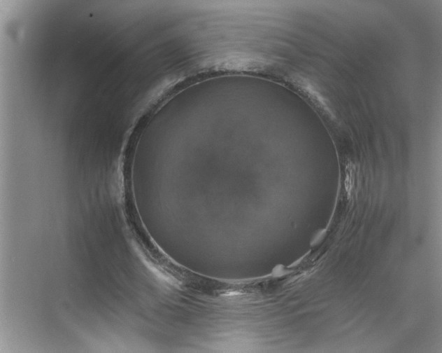 X0000070430678200606161505