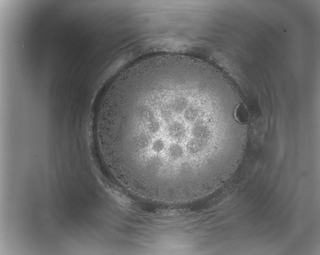 X0000070430679200606161504