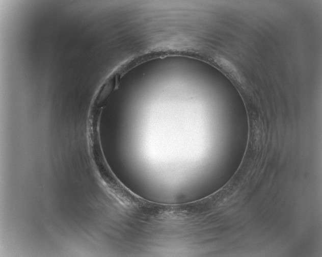 X0000070430680200606161504