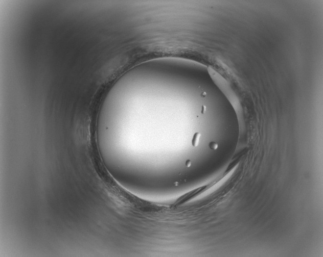 X0000070430685200606161504