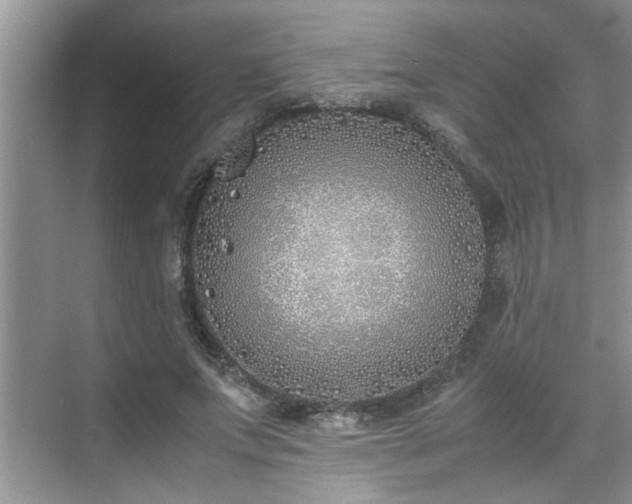 X0000070430687200606161504