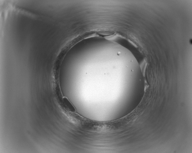 X0000070430688200606161504