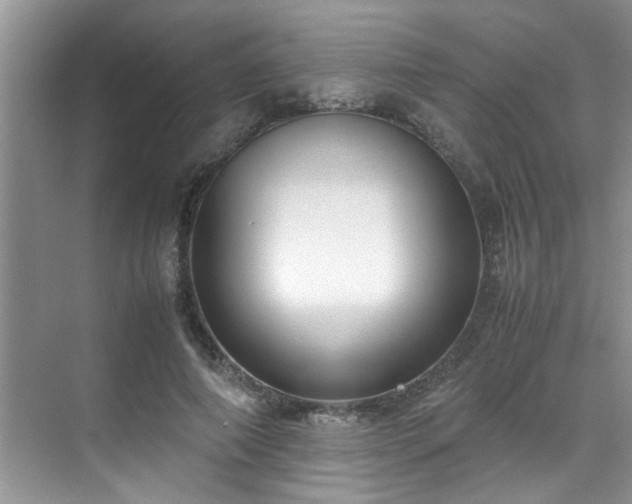 X0000070430690200606161504