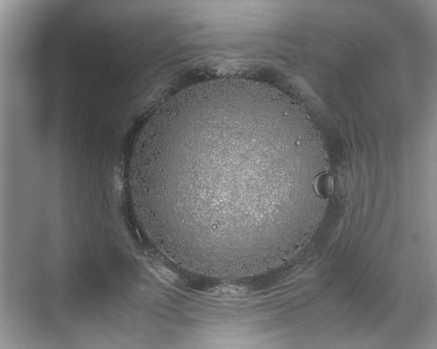 X0000070430691200606161504