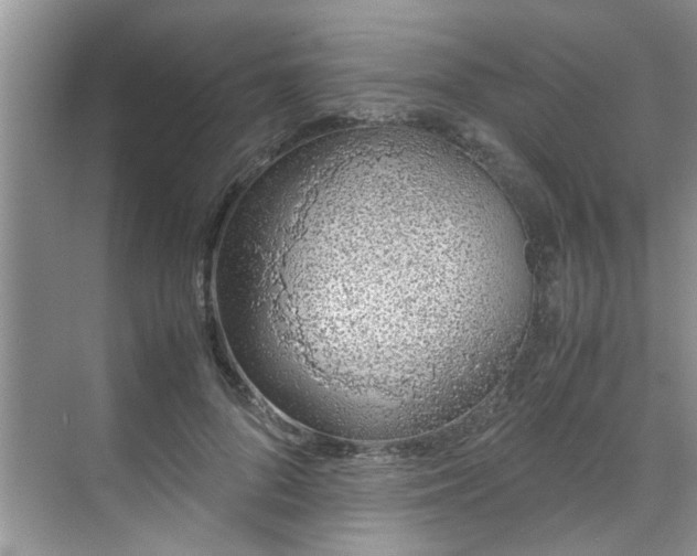 X0000070430696200606161504