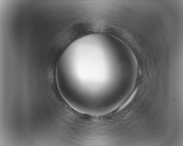 X0000070430697200606161504