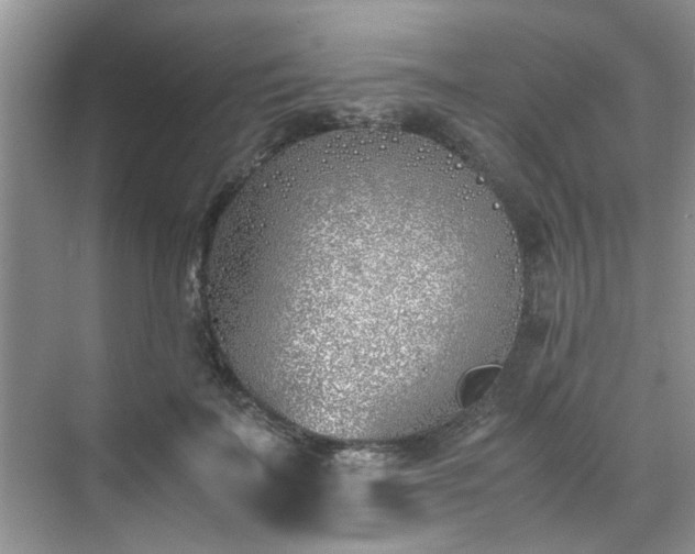 X0000070430699200606161504