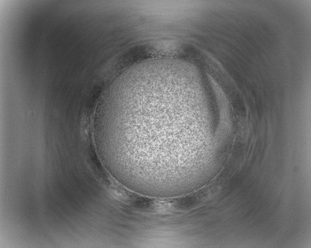 X0000070430701200606161504