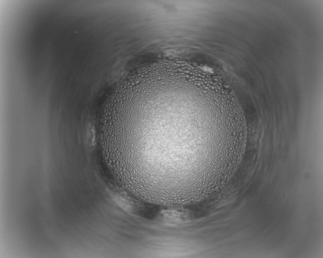 X0000070430703200606161504