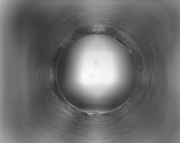 X0000070430704200606161504