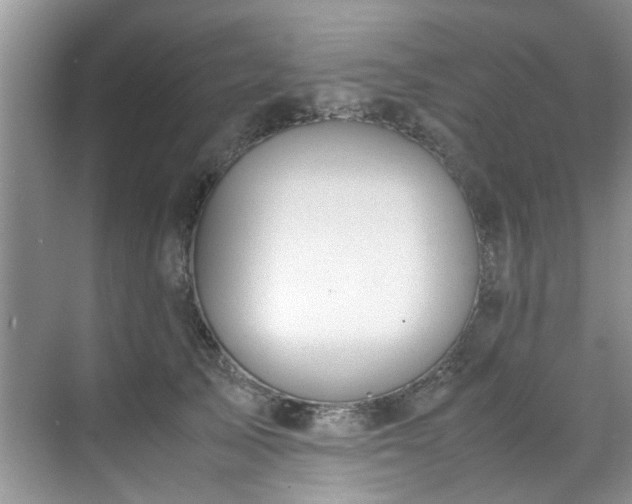 X0000070430705200606161504