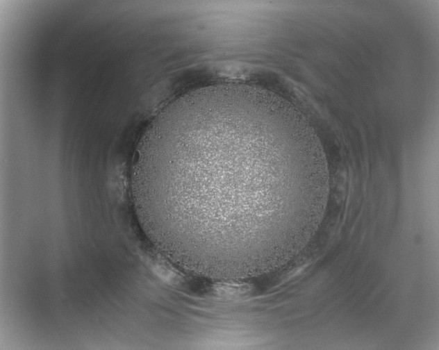 X0000070430707200606161504